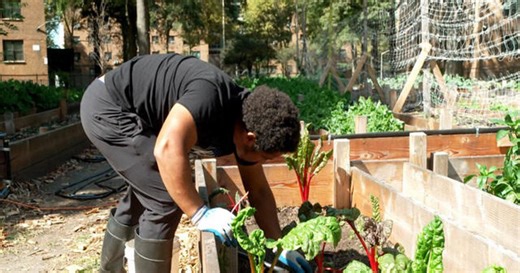 Eye on America: Fighting food waste with composting and a tour inside Warner Bros. prop archive