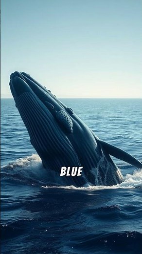 Blue Things Around Us! 💧 #educationalvideos #kidslearning #bedtimestory #kidsstories #calmkids