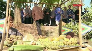 Phim Bình Tây Đại Nguyên Soái - Tập 1 | Họ Trương Việt Nam