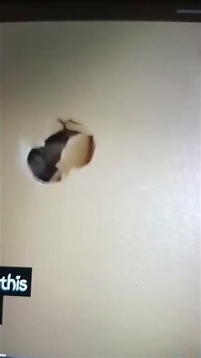 Super Mario Logan Jeffy crying