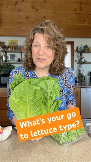 Which Lettuce Should You Actually Buy? 🥬 (Convenience, Value, Taste)