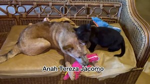 279K views · 35K reactions | Será que a nossa noite vai ser...