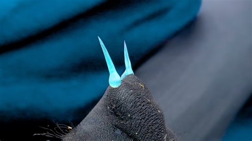 Stonefish stings are more deadly than you think