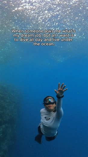 Resume? My freediving certification from Freedive Academy Panglao. Office? The beautiful blue waters of Panglao. Biggest dream? To dive all day, explore the reefs, and live with the marine life! 🌊🐠🪸 Who’s ready to start their freediving journey with us? ______ 𝗖𝗼𝗻𝗻𝗲𝗰𝘁 𝘄𝗶𝘁𝗵 𝘂𝘀 𝗼𝗻 𝗦𝗼𝗰𝗶𝗮𝗹 𝗠𝗲𝗱𝗶𝗮! FB: Freedive Academy Panglao IG: @‌freediveacademyph TikTok: @freediveacademy To learn more about freediving, follow us and DM your inquiries! #freediveacademypanglao #freedivea