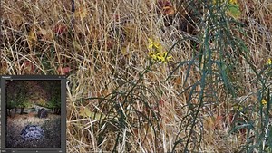 709 Megapixels: Examining the Insane Detail a Large Format Camera Can Produce | Fstoppers