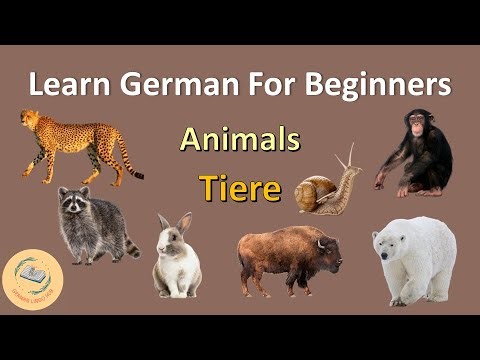 "Learn Animal Names in German | Fun and Educational German Vocabulary Lesson for Beginners!" Part 1