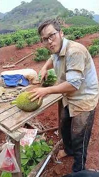 This is the best method to open your jackfruit.