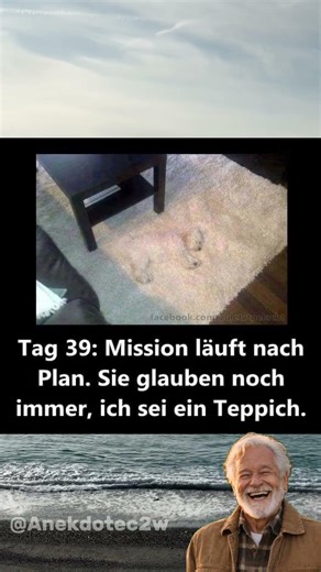 #lachen #lustig #witzig #humor #ironie #spaß #comedyshorts #funnyvideos #sketch #spaß #funny #lustig