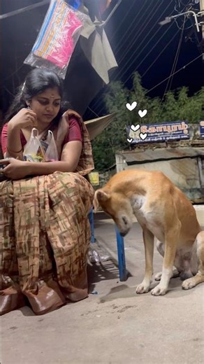 Met him one fine day 🐶🐾✨#dog #dogshorts #teashop #peya #avadi #chennai #trending #shorts #puppy
