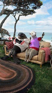 Take up to $200 off your winter energy bills when you join Contact broadband. T&Cs apply. Credit applied over 4 months. Broadband promo code: CONTACT200. Broadband not available without electricity. Availability & speeds may vary. Modem & postage charges may apply. Limited time offer. | Contact Energy | Facebook