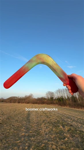 Only one bird came back to me #boomerang #बुमेरांग #بوميرانغ #bumerangue #Бумеранг