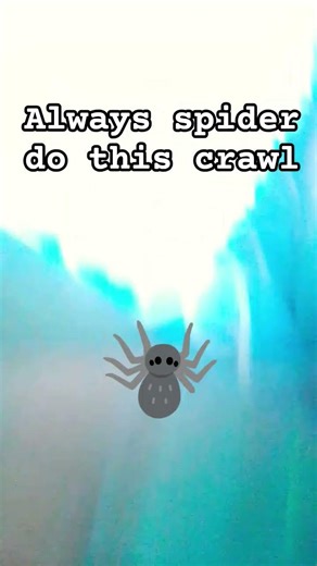 always spider do this crawl