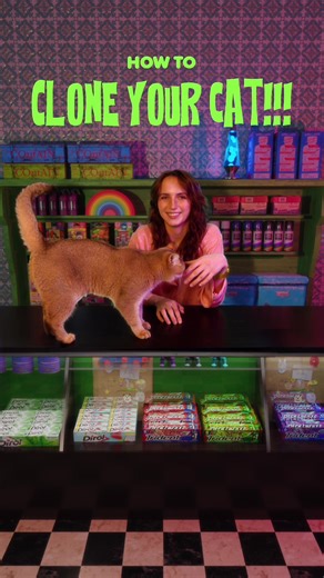 Cloning My Cat: Challenges and Techniques Explained