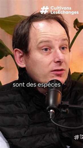 Ce sont des systèmes plus résilients.