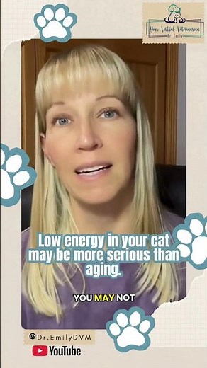 Is your cat slowing down? It might be this #catcare #cathealth #shorts