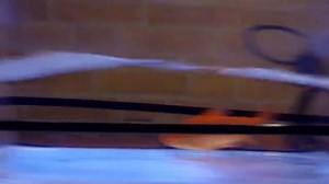 Fish Out of Water: Camera Setup Lets Goldfish Drive RC Tank