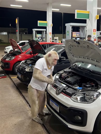 Potência do Up TSI vs BMW: Quem Leva a Melhor?