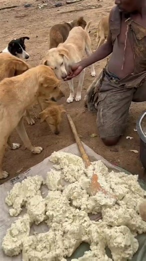 #part3#fpyyyyyyyyyyyyyyyyyyyyyy | part3