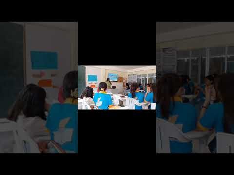 Teaching Demonstration on the Topic Semiotic Systems in Multimodal Texts