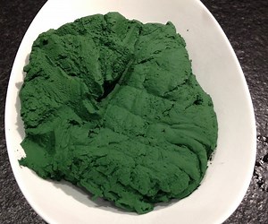 Homemade Low-tech Organic Spirulina Culture