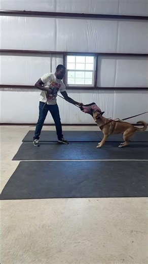 MalX Getting on Track