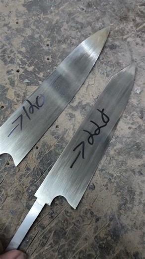 Daily Grind Russell Linear Shiny on Kitchen Knives