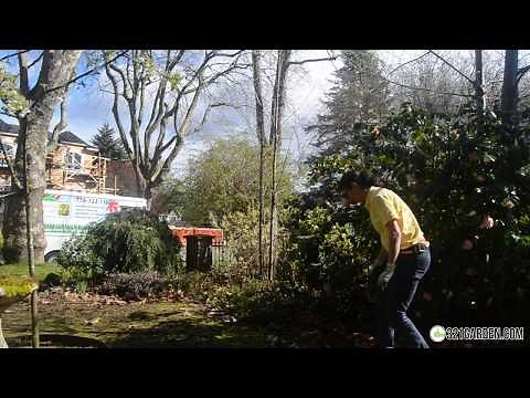 Everything You Need to Know for a Spring Garden and Yard Clean Up