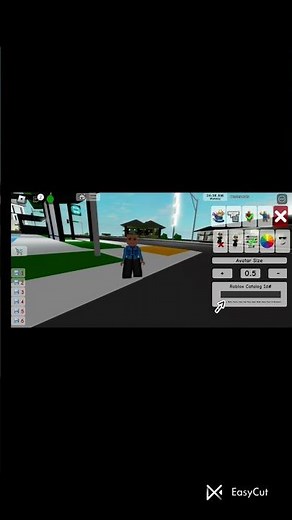 Tutorial on how to enter codes in brookhaven!