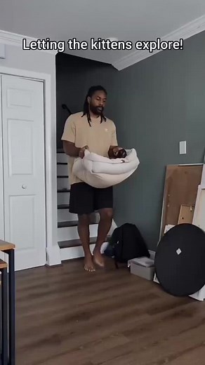 The kittens stay in a cat safe room until they gain some coordination and sense! This is when they're old enough to get free range of our home! You can see Bambi was really excited to share her space 😂 #kittens | Fostering kittens