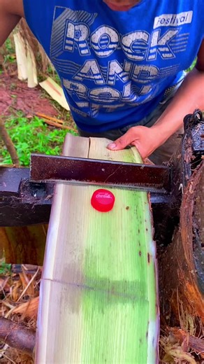 Exploring the LIVE Incentive Program for Easy Earnings