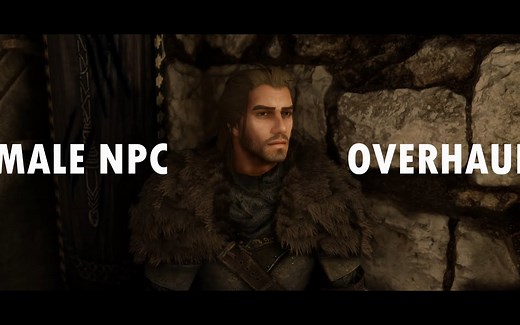 天际美化mod：覆盖57名男性的美化大修Male Npc Overhaul SE