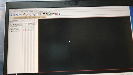 大神们帮看看Autodock打开蛋白文件后不显示蛋白结构该怎么办！！！急急急！！！