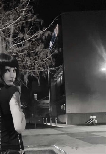 Exploring the Diversity of Black Metal Music