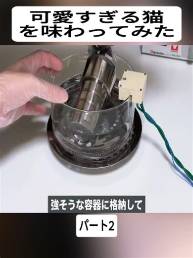 可愛すぎる猫を味わってみた #2 #電子工作 #技術 #プログラミング #DIY #Technology #Engineering #fyp #lambdatech #technology