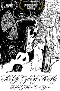 The Life Cycle of A Fly