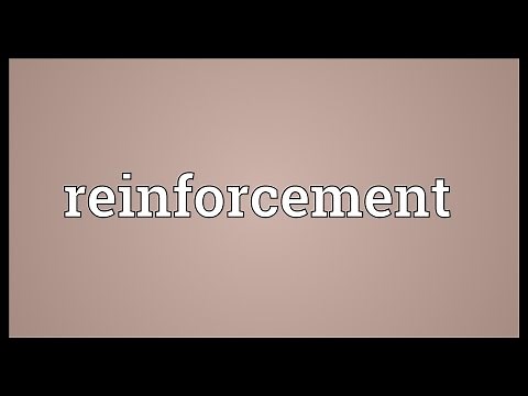 Reinforcement Meaning