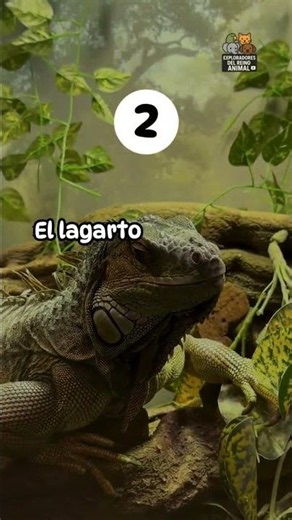 Los 5 animales con los métodos de defensa más sorprendentes de la natu