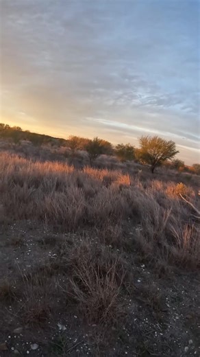 Talk about a rush! Who went upland hunting this season? 📸: @tejano.outdoors | Cabela's