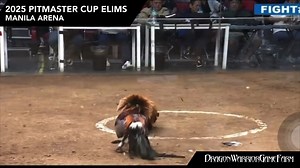 2025 Pitmaster Cup Elims