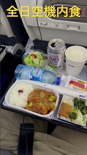 ANA機内食！旅客機搭乗【全日空便！フランスのパリのシャルルドゴール空港⇨東京•羽田空港間利用した全日空（ANA）NH216便】ANA flight NH216 from Paris to Tokyo