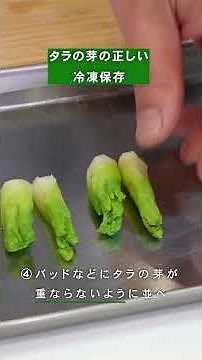 山菜の王様タラの芽の下処理と保存方法🌸