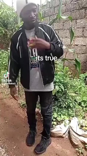 CHRIS HAVEN DOWNLOADER (@havendownloader)’s videos with original sound - CHRIS HAVEN DOWNLOADER