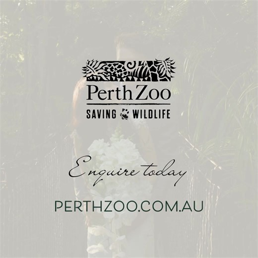 Make your dream day a reality – choose from a variety of gorgeous wedding locations among the lush gardens of the Zoo. 💍 | Perth Zoo