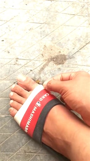 #insect #nature #insects #naturephotography #macro #macrophotography #photography #wildlife #bug #insectsofinstagram #butterfly #naturelovers #bugs #photooftheday #wildlifephotography #insectphotography #entomology #instagood #animals #flowers #animal #outdoors #bee #closeup #flower #butterflies #summer #beautiful #art #garden #fbreels #reels2023 | PuthY DIY