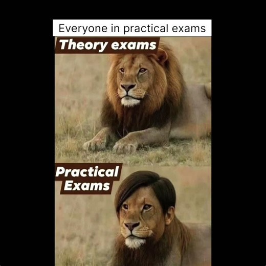 everyone being innocent😆😆 #relatable #pov #reality #funny #meme #practical exams