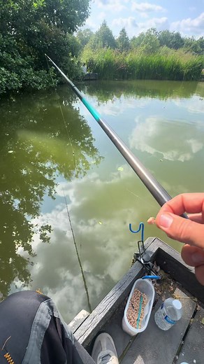 Luncheon meat pole fishing!😁