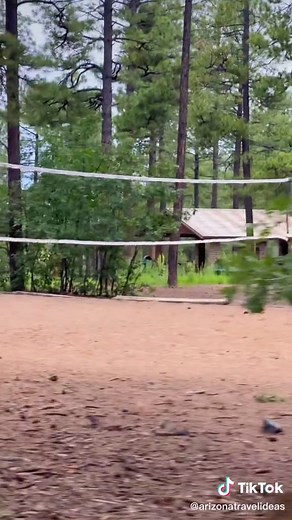 Exploring Pinetop-Lakeside AZ: A Nature Lover's Paradise