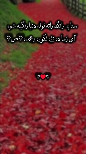 ستا دی باره زه پرژدم توله دننا بوره