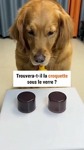 Le geste final 🤣 | Argo France