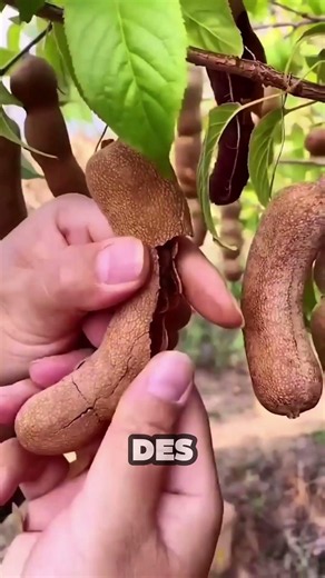 🍇 These Fruits Hide Incredible Nutrients! 😱✨